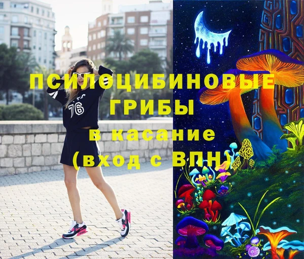СК Аркадак