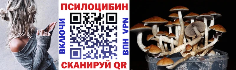 Псилоцибиновые грибы мухоморы  Сурск 